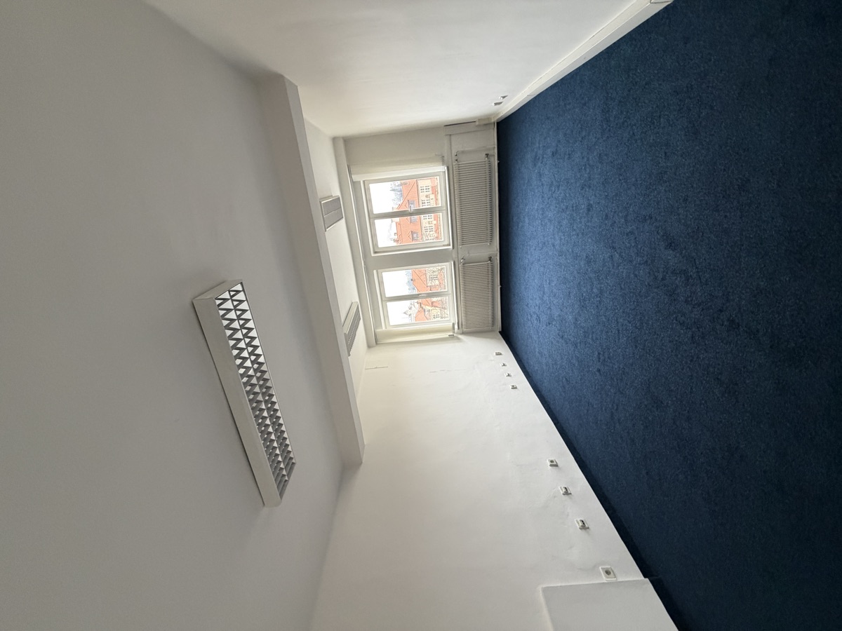 Entry corridor with a designed deep-blue wall